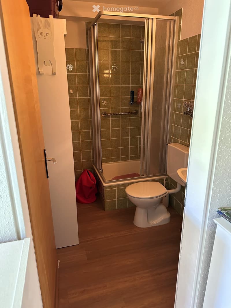 Bathroom with wooden flooring, a toilet, a sink, a shower with a glass enclosure, and a bathtub. A red bag is placed near the shower area.