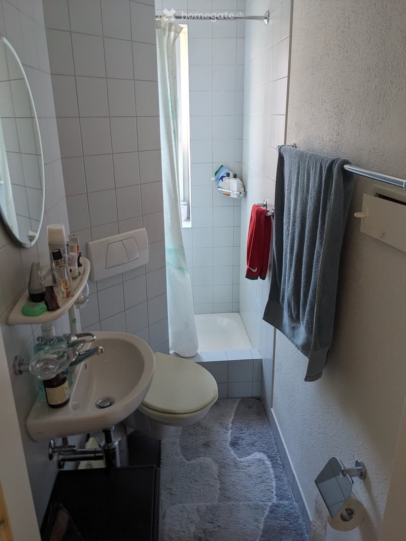 Grosse 3-Zimmer-Wohnung zentral gelegen in Küsnacht (8)