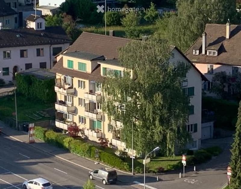 Grosse 3-Zimmer-Wohnung zentral gelegen in Küsnacht (1)