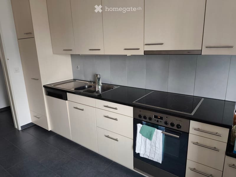 Modern kitchen with white cabinets, black countertops, stainless steel sink, induction cooktop, and oven. Towels are hanging on the oven handle.