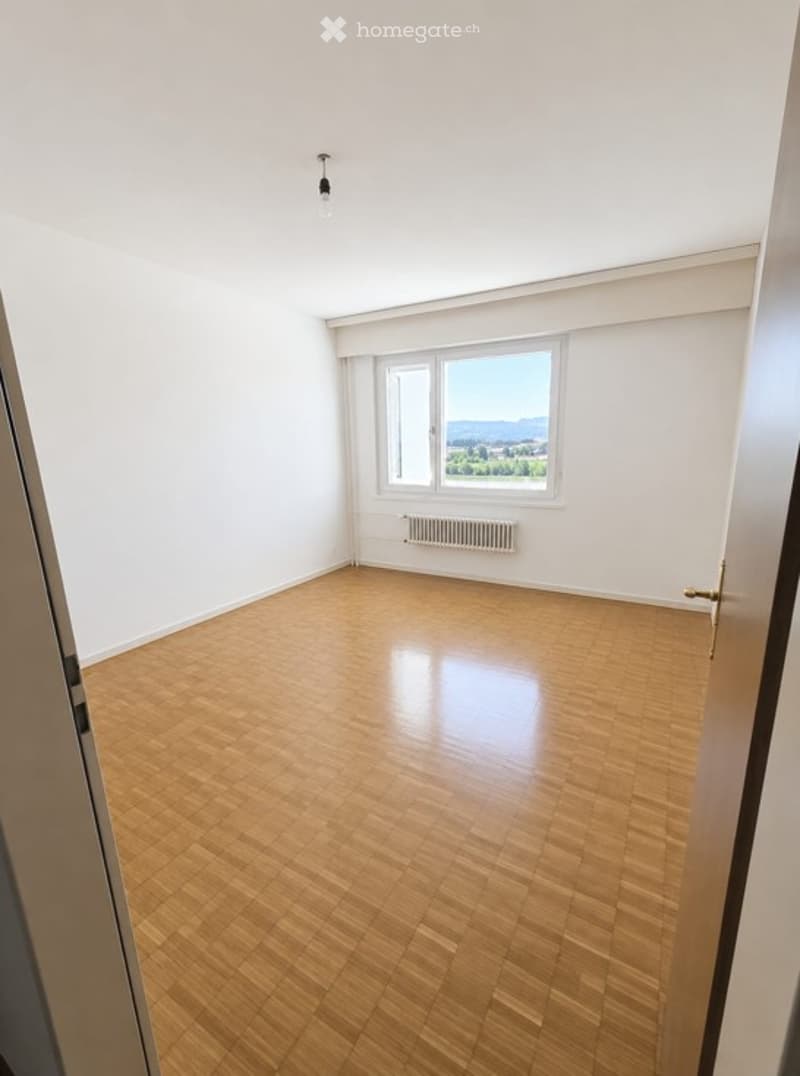 Empty room with wooden flooring, white walls, large window with a scenic view, and a radiator below the window.