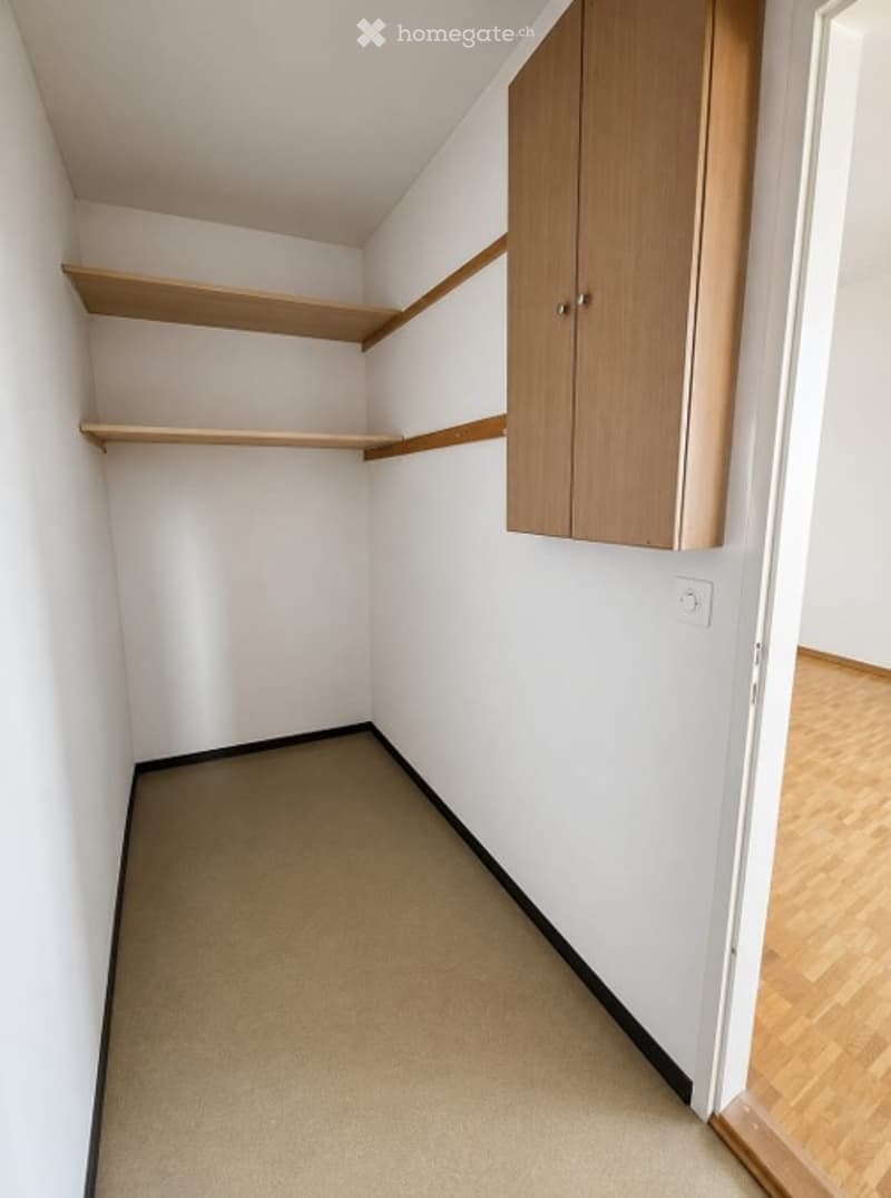 Empty closet with wooden shelves and a built-in cabinet, white walls, and a carpeted floor.