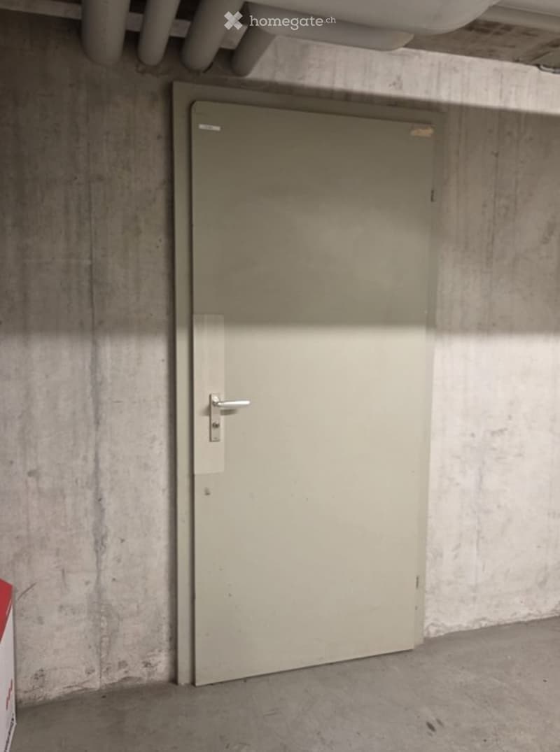 A concrete-walled corridor with a single closed metal door featuring a silver handle and lock.