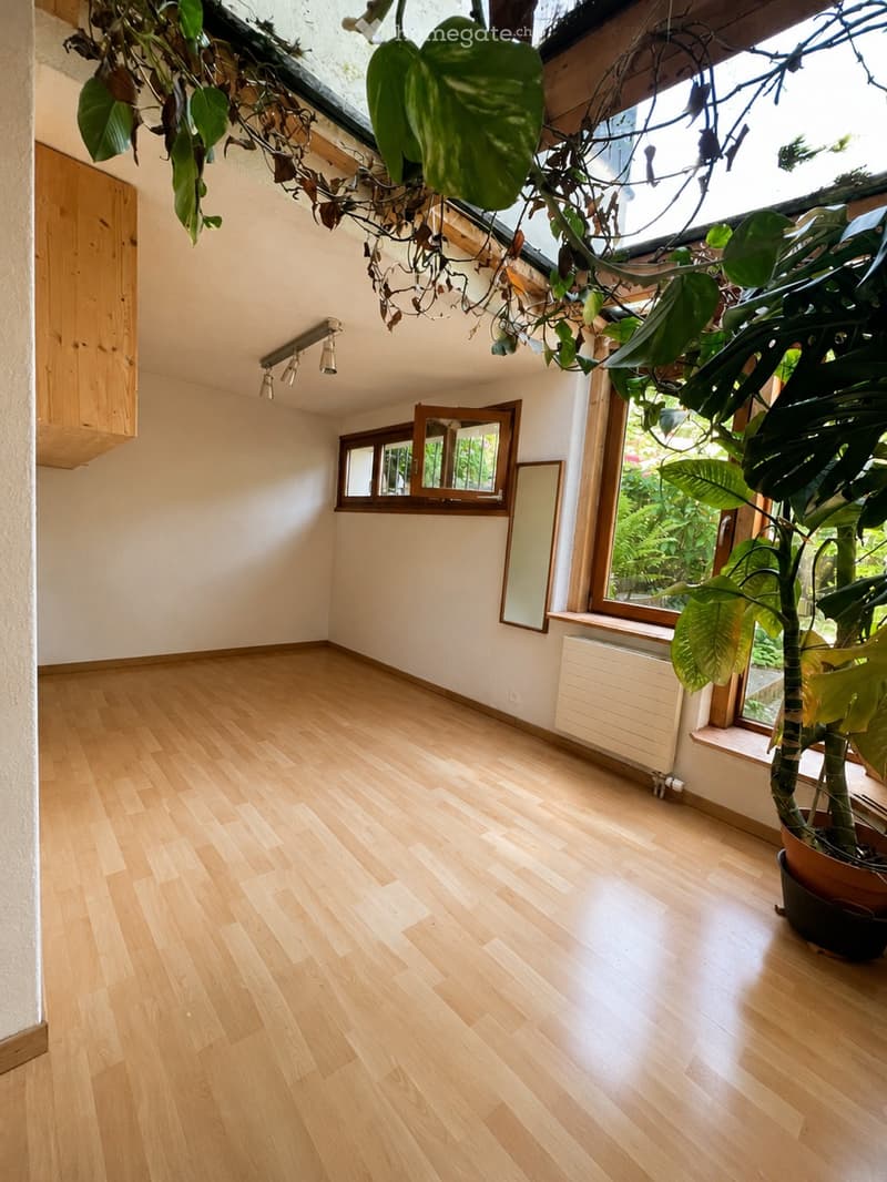 Empty room with light wooden flooring, white walls, large windows, and a hanging plant in a pot. No furniture or equipment present.