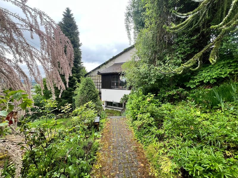 A lush garden with a pathway leading to a house partially obscured by dense greenery and trees.