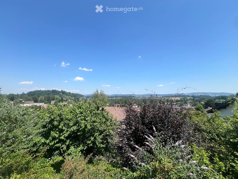 Charmantes 6.5-Zimmer-Einfamilienhaus in Langnau am Albis (5)