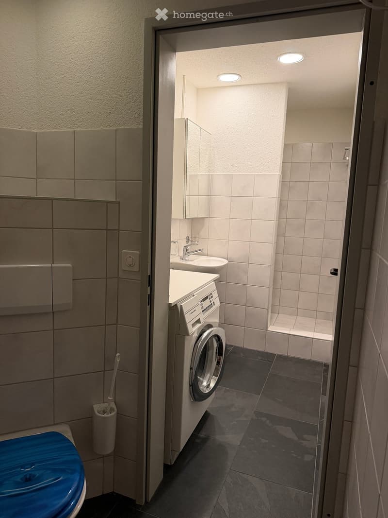 Modern bathroom with a washing machine, sink, toilet, and toothbrush holder. The walls are tiled, and the floor is dark.