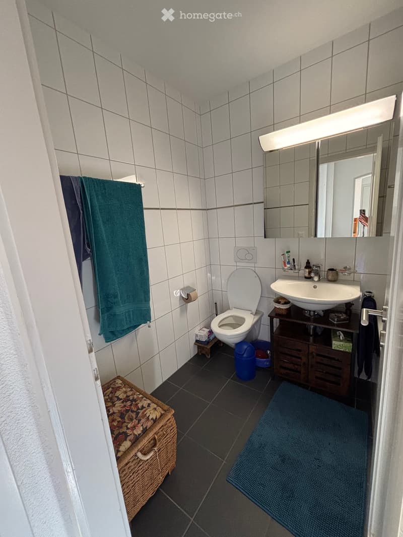 A small bathroom with white tiled walls and dark tiled flooring. Features include a toilet, a sink with a mirror above it, a towel hanging on the wall, a small stool, a woven basket, and a blue rug on the floor.