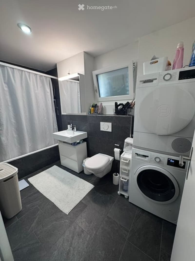 Modern bathroom with dark grey tiles, white fixtures, a shower curtain, a washing machine, and a small sink area.