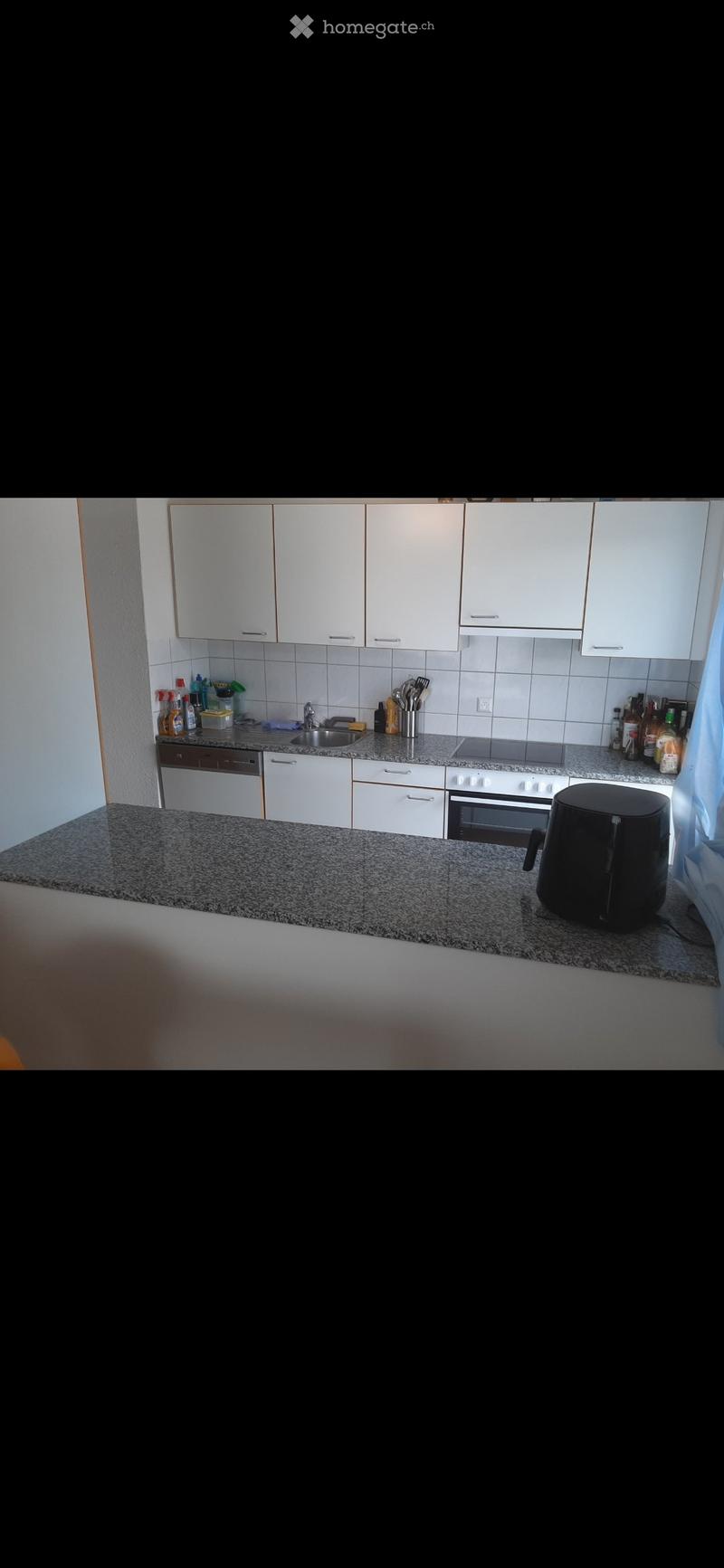 {"type": "Kitchen", "objects": ["sink", "faucet", "oven", "dishwasher", "cabinets", "fridge", "air fryer", "bottle", "cup", "bottle", "bottle", "bottle", "bottle", "bottle", "bottle", "bottle", "bottle", "bottle", "bottle", "bottle", "bottle", "bottle", "
