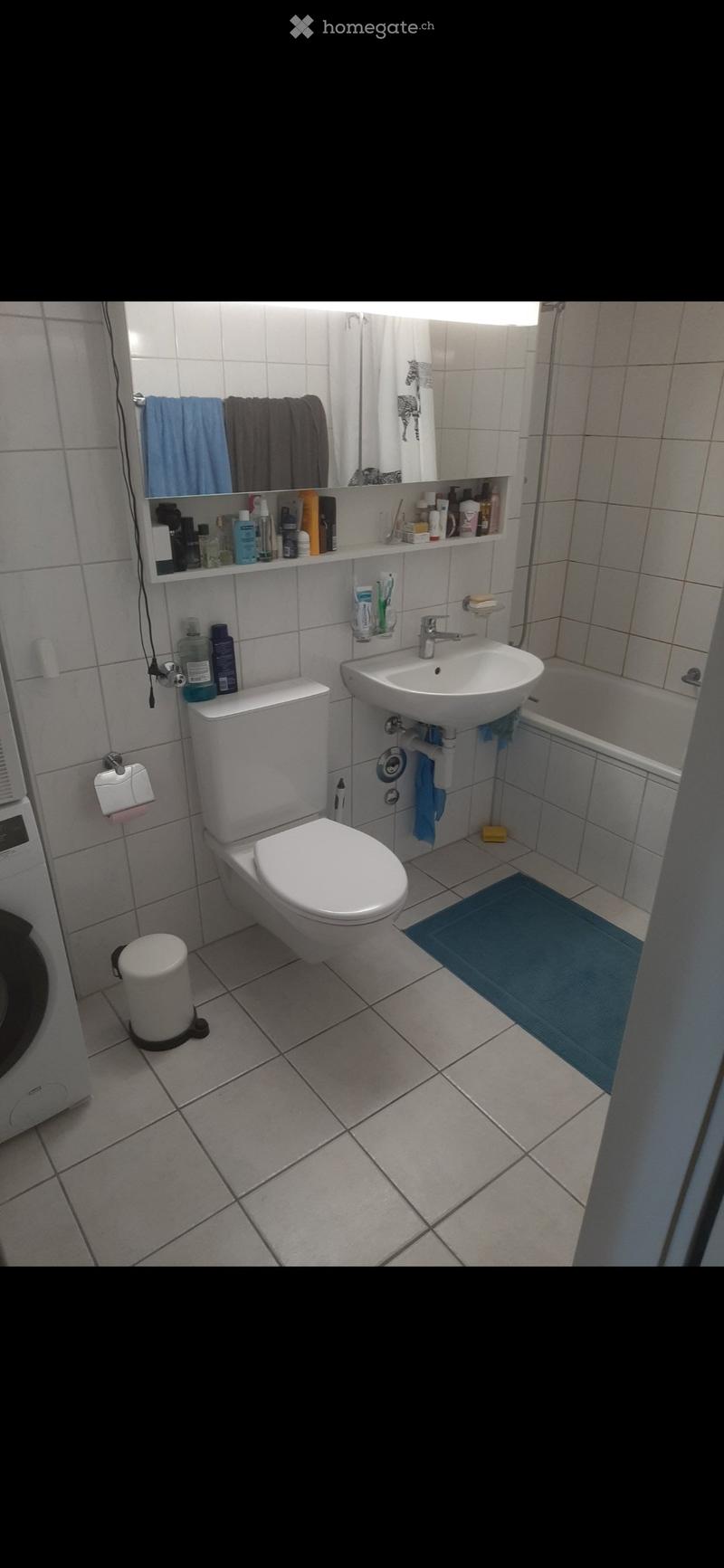 A compact bathroom with a toilet, sink, mirror, bathtub, and various toiletries neatly arranged on shelves and the sink counter.