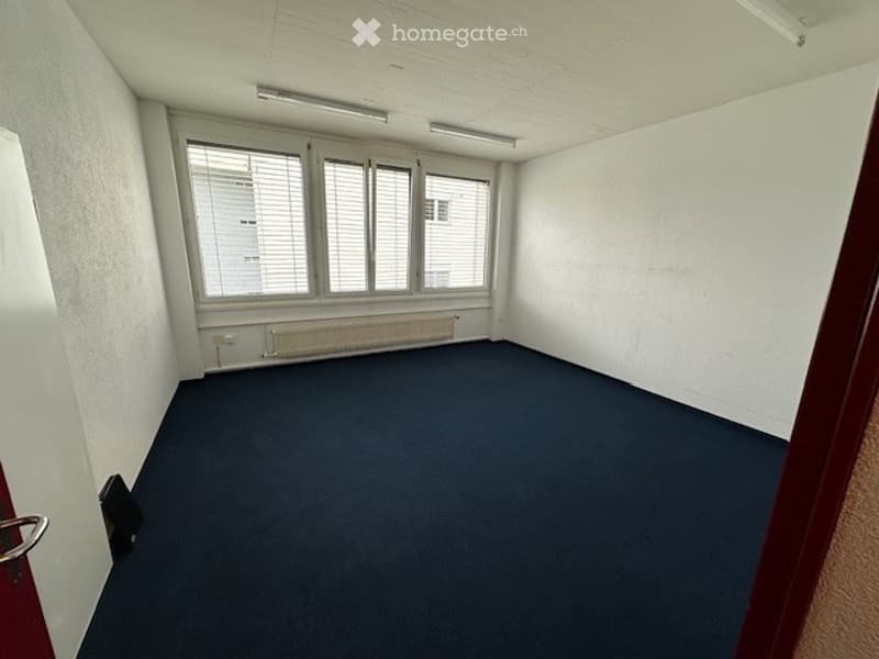 empty room, white walls, blue carpet, three windows with blinds, radiator