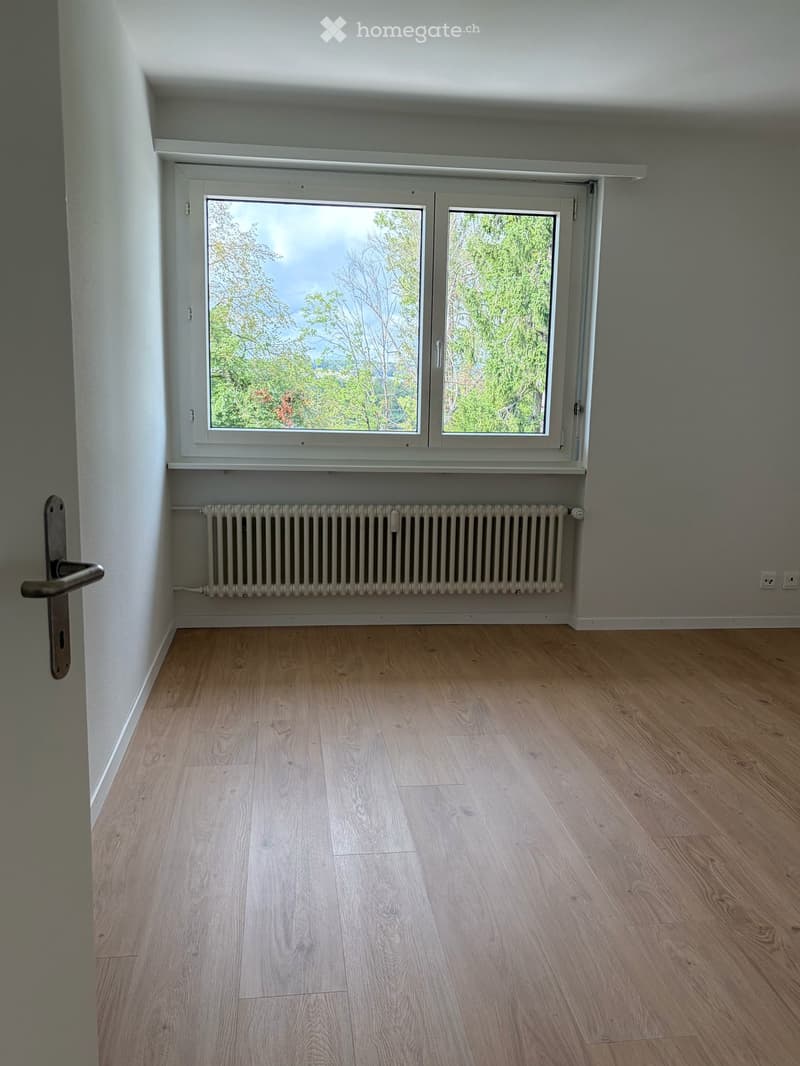 4,5 Zimmerwohnung - ein neues Zuhause für ein älteres Paar (5)