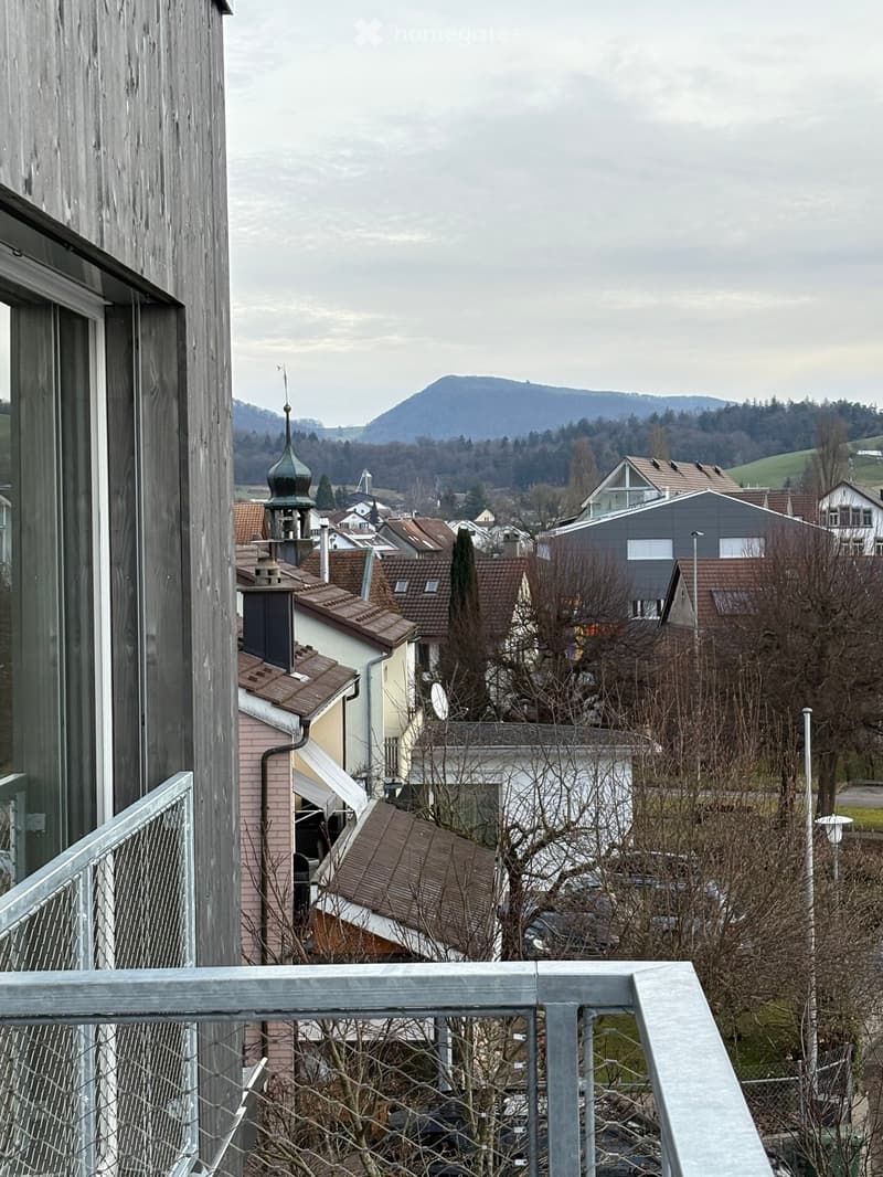 Balcony overlooking a residential area with houses, trees, and distant mountains.