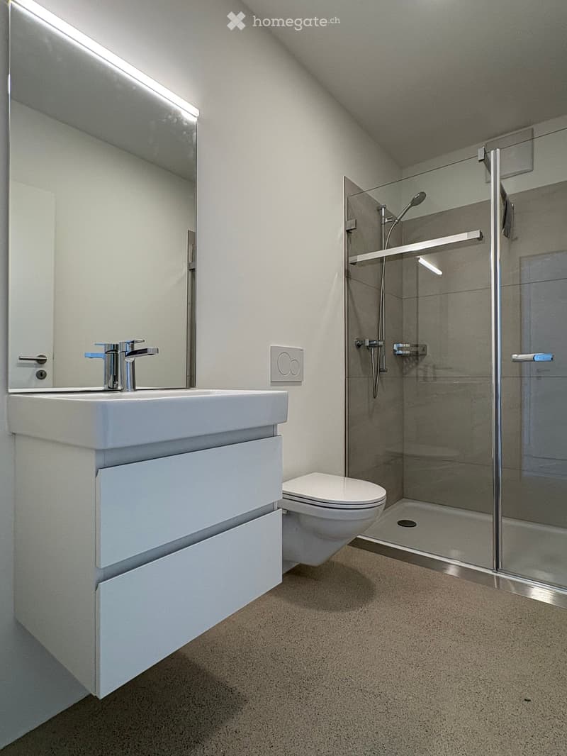 Modern bathroom with a white sink, chrome faucet, large mirror, toilet, and glass-enclosed shower with a modern showerhead.