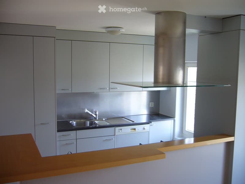 Modern kitchen with white cabinets, stainless steel sink, dishwasher, and a glass range hood.