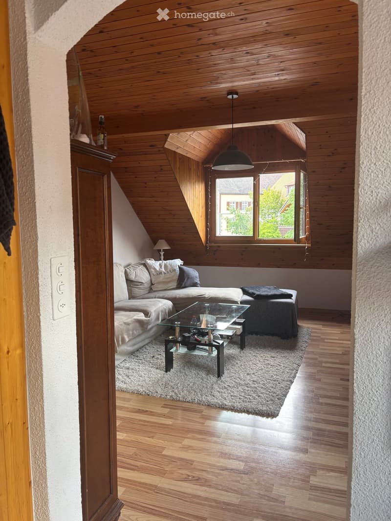 Cozy living room with wooden walls and ceiling, large window, sofa, coffee table, and a lamp.