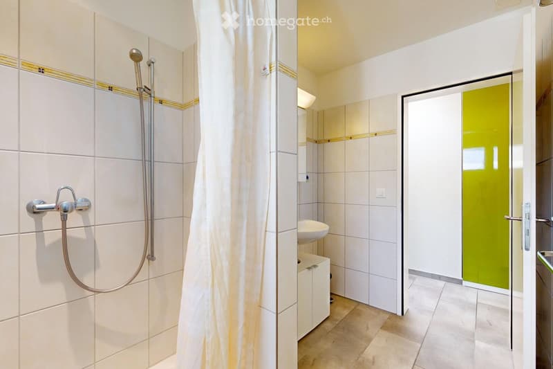 Modern bathroom with white tiled walls, a shower area with a handheld showerhead, a sink with a cabinet underneath, and a green door leading to another room.