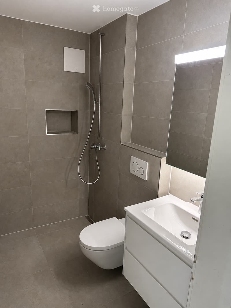 Modern bathroom with grey tiled walls and floor, white toilet, sink with mirror, and a shower area with a handheld shower head.