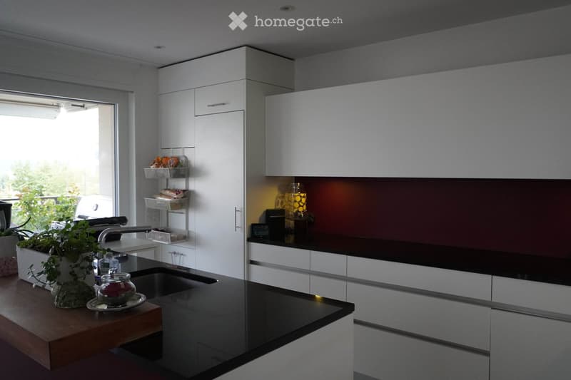 Modern kitchen with white cabinets, black countertops, a sink, and a small plant on the counter.