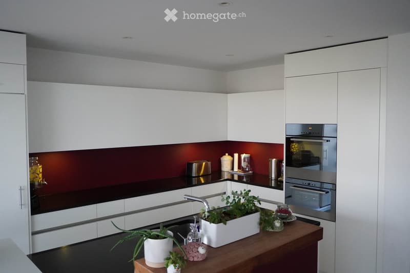 Modern kitchen with white cabinets, dark red backsplash, stainless steel appliances, and various small items on the counter including plants, a candle, and a bottle.