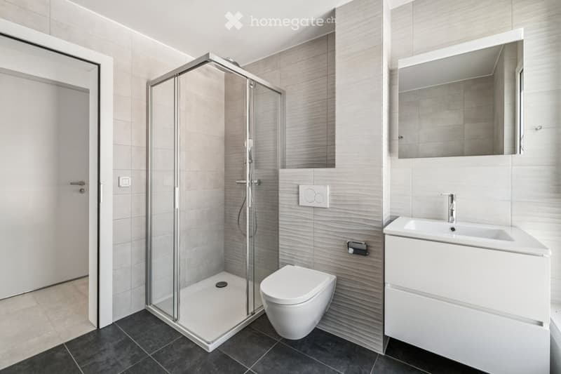 Modern bathroom with a white toilet, sink with mirror, and a glass-enclosed shower stall.