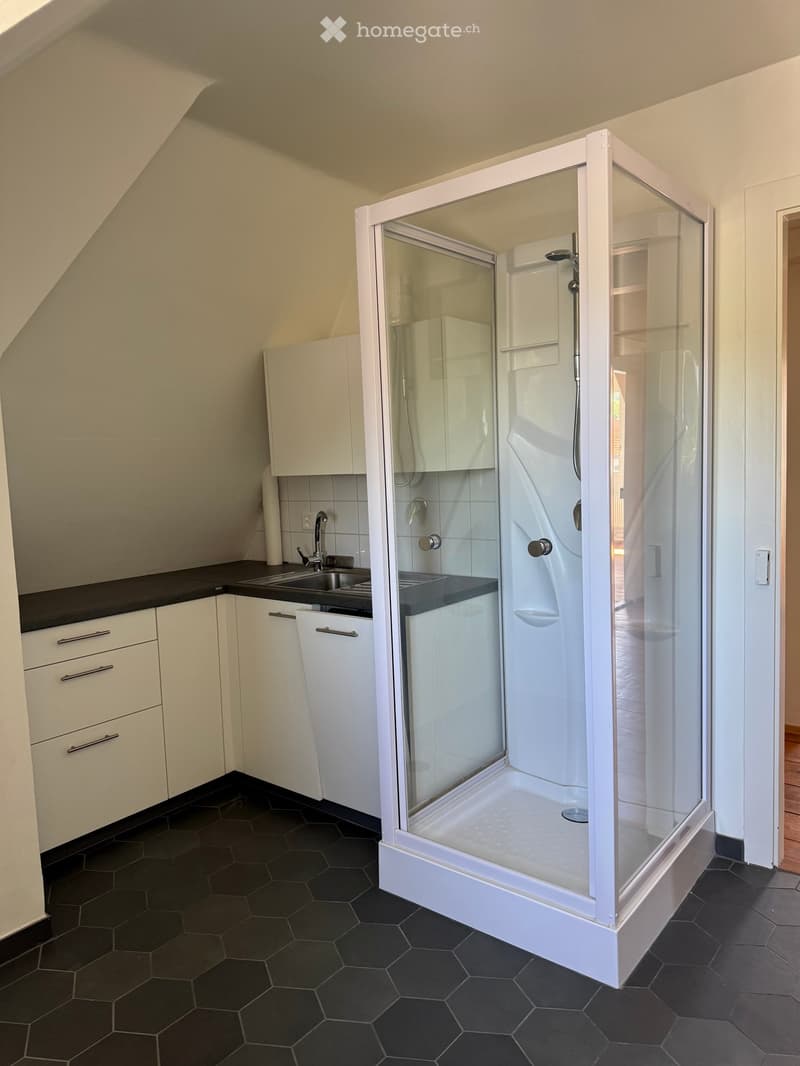 Modern bathroom with a glass-enclosed shower stall, a sink with a faucet, and white cabinets.