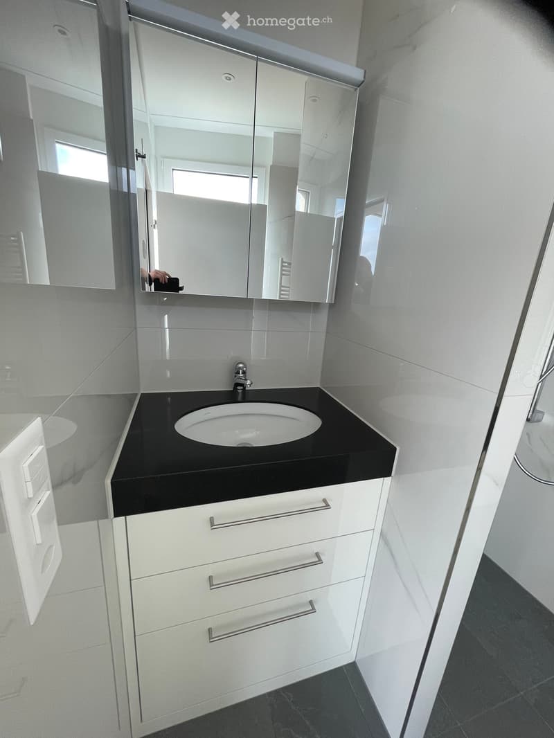 Modern bathroom with a black countertop sink, white cabinet with silver handles, and a large mirrored cabinet above.