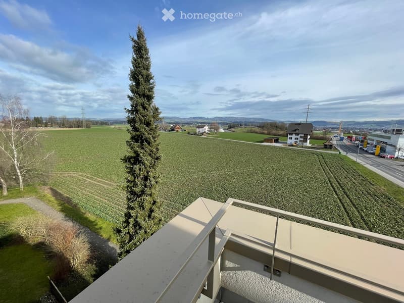 Balcony overlooking a rural landscape with fields, a tall conifer tree, and distant houses.