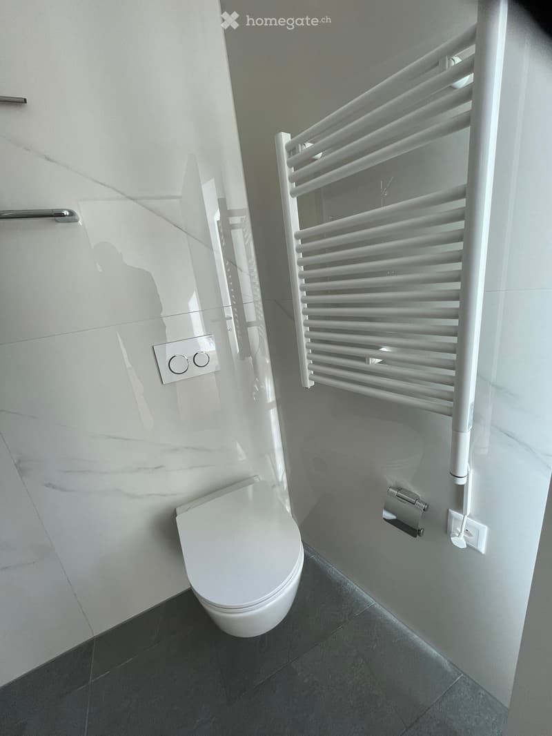 Modern bathroom with white toilet, sleek radiator, and dark tiled floor.