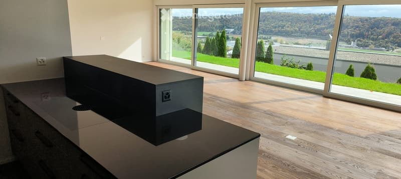 Modern, minimalist room with large windows offering a scenic view of greenery and hills. Features a sleek black table and light wooden flooring.