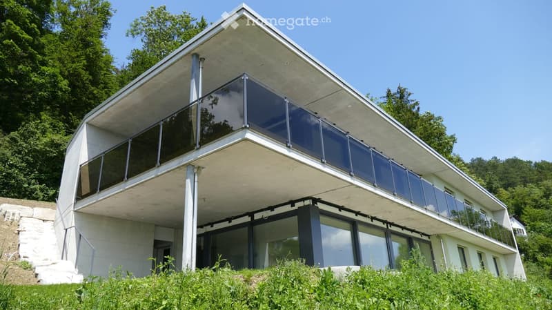 Modern two-story house with a flat roof, large glass windows, and a raised ground floor, surrounded by greenery.