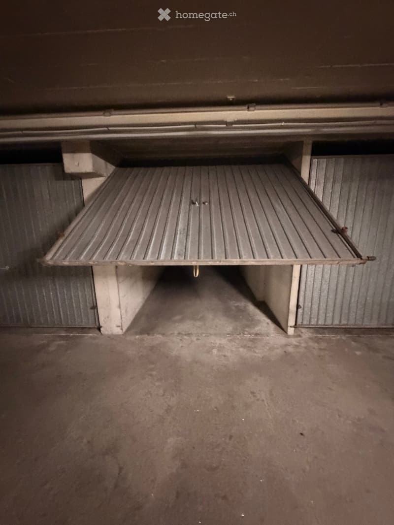 Empty garage with concrete floor and metal shelving unit against the back wall.