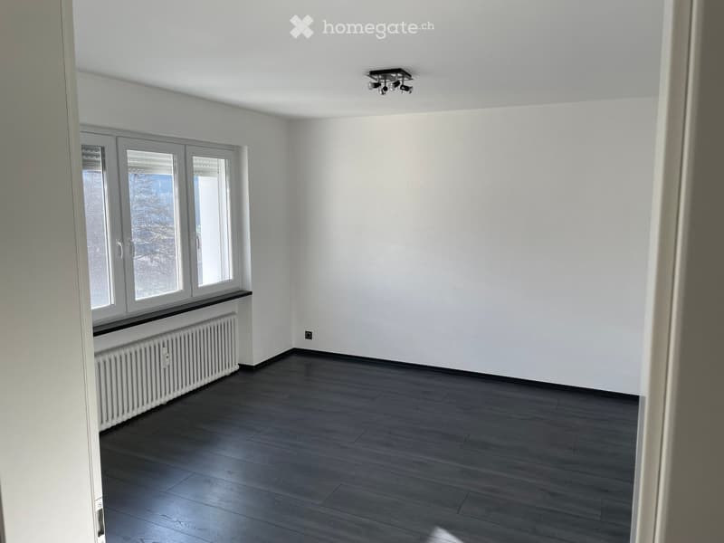 Empty room with white walls, dark wooden flooring, large windows, radiator, and modern ceiling light fixture.