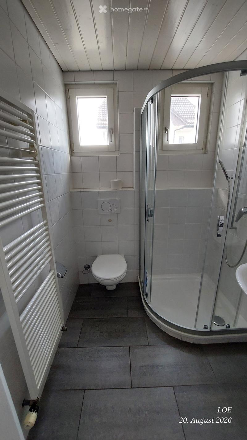 Modern bathroom with a toilet, glass-enclosed shower, radiator, and a small window providing natural light.