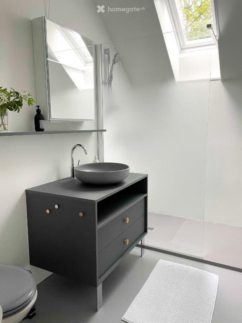 Modern bathroom with a grey sink, sleek cabinet, large mirror, and a glass-enclosed shower area. Features a skylight window and a small shelf with a flower vase and bottle.