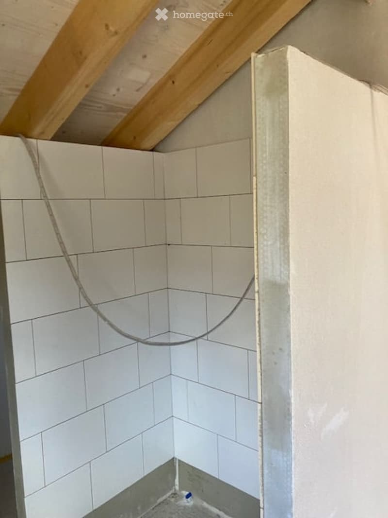 {"visible_features": [],    "type": "Room",    "description": "shower area with white tiles, wooden ceiling, shower hose",    "localized_descriptions":        {        "EN": "Shower area with white tiles, wooden ceiling, shower hose",        "DE": "