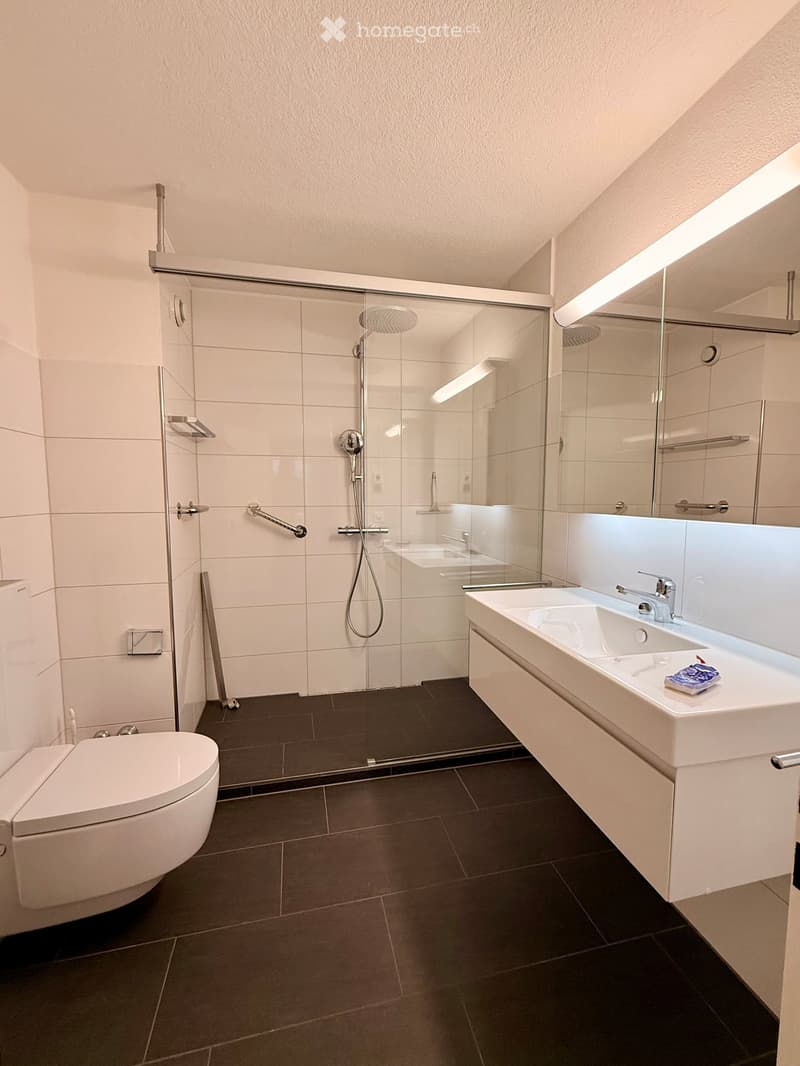 Modern bathroom with a glass-enclosed shower, toilet, sink, and large mirror. Dark tiled floor and white tiled walls.