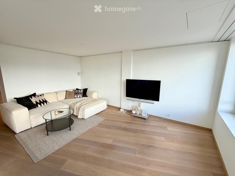 Modern living room with light-colored wooden flooring, white walls, a sectional sofa with decorative pillows, a glass coffee table, a flat-screen TV on a stand, and a small floor lamp.