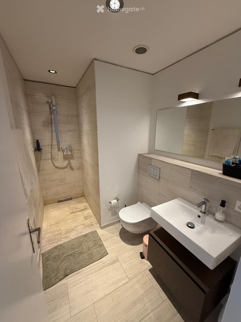 Modern bathroom with a toilet, sink, mirror, and shower area. Features include a wooden floor, a dark wooden cabinet, and a small rug near the door.