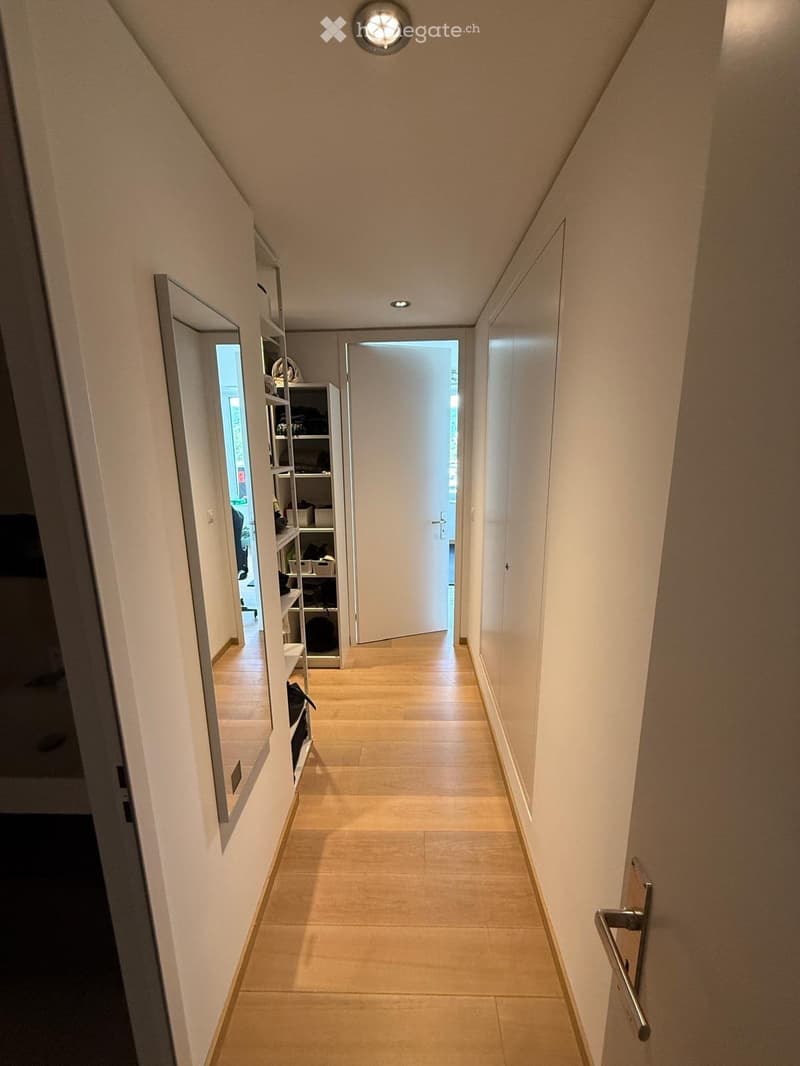 A modern hallway with light-colored walls, wooden flooring, and recessed lighting. A white door is visible at the end, and a mirrored cabinet with shelves is on the left side.