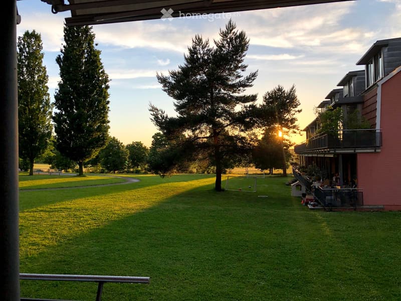 A spacious, well-maintained lawn with trees, a small goalpost, and a house with a balcony in the background.