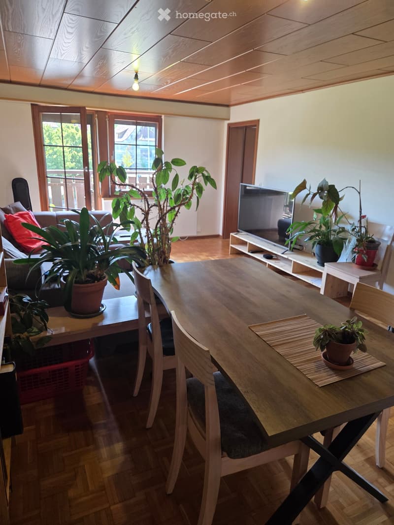 A well-lit living and dining area with wooden flooring, a large window, a sofa, a dining table with chairs, and several potted plants.