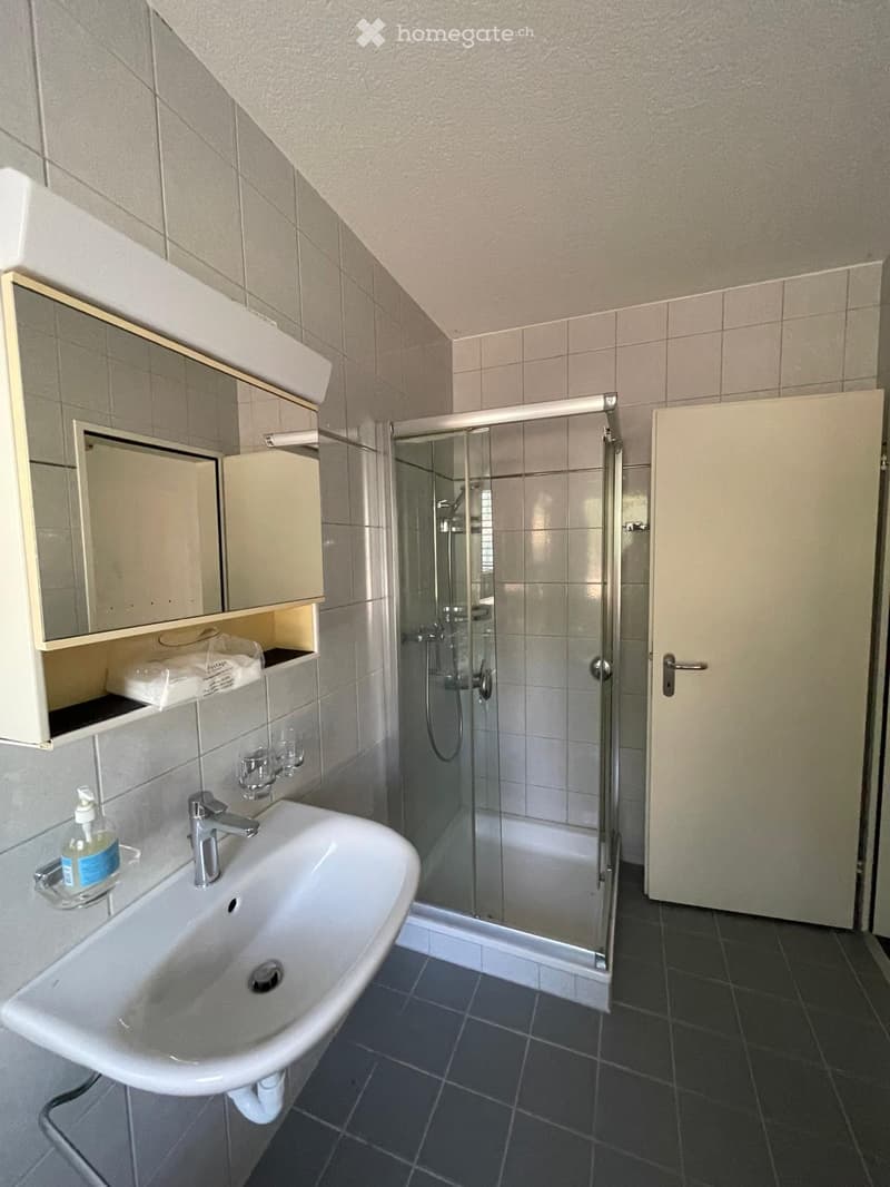 Modern bathroom with a white sink, chrome faucet, mirrored cabinet, glass-enclosed shower, and a closed door.