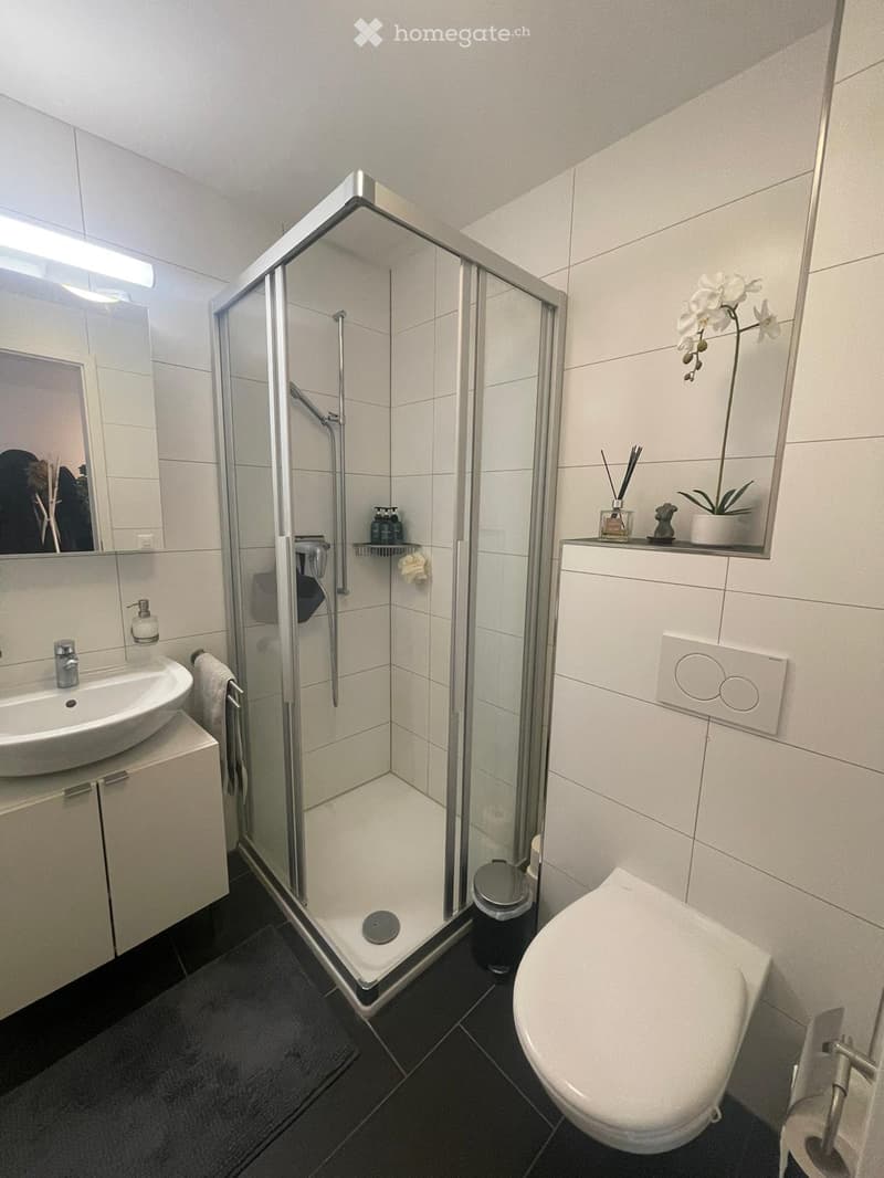 Modern bathroom with a glass-enclosed shower, white tiles, a sink with a cabinet, a toilet, and a small decorative flower arrangement on a shelf.