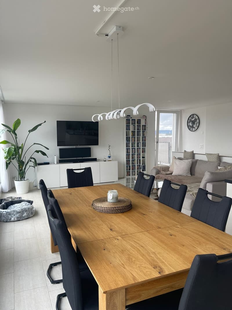 Modern living and dining area with a large wooden dining table, six black chairs, a grey sofa with pillows, a television, a bookshelf, a potted plant, and a dog bed.