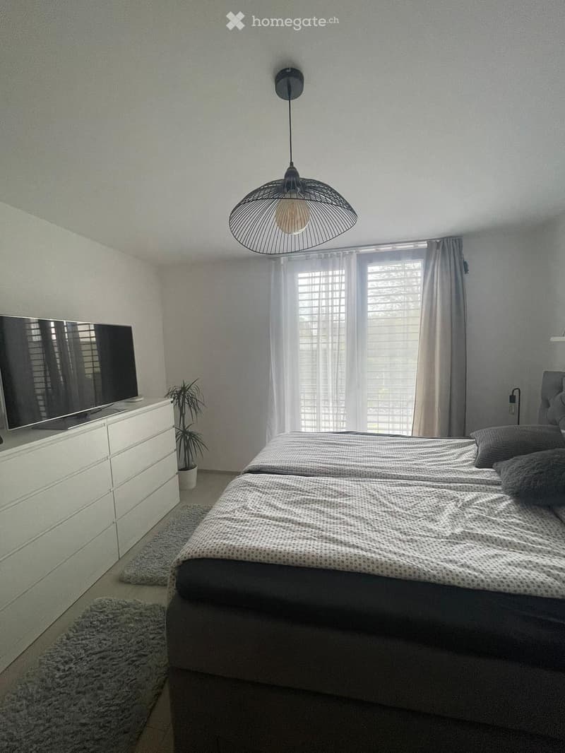 Modern bedroom with a large bed, dresser with TV, potted plant, and a hanging pendant light.
