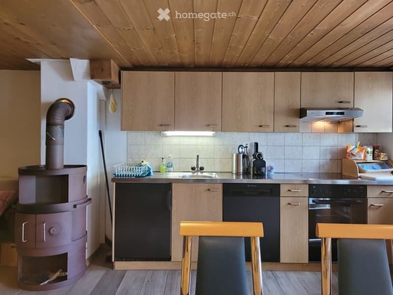 Modern kitchen with wooden cabinets, stainless steel appliances, a sink, and a small wood-burning stove.