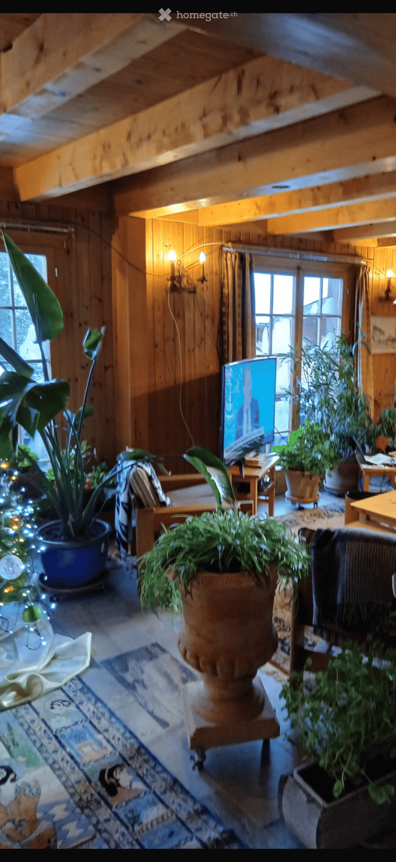 A cozy living room with wooden walls and ceiling, featuring a sofa, a television, a table, and several potted plants. The room has large windows and warm lighting.