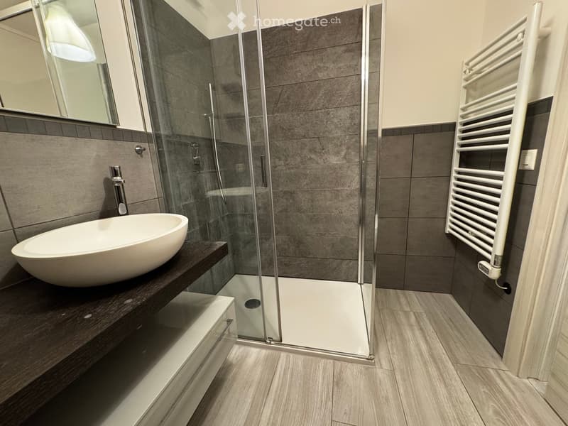 Modern bathroom with a sleek sink, glass shower enclosure, and a white radiator on the wall.